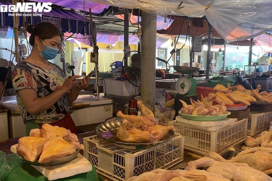 Miền Nam rớt kỷ lục, giá gà ở Hà Nội có giảm?