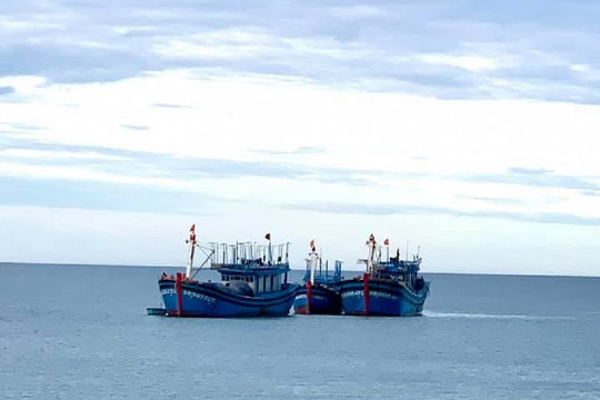 3 ngư dân tử vong trên tàu cá Quảng Ngãi chưa rõ nguyên nhân