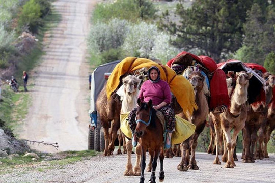Thổ Nhĩ Kỳ: Tour trải nghiệm cuộc sống của bộ lạc cuối cùng duy trì lối sống du mục thời 4.0 hút khách du lịch