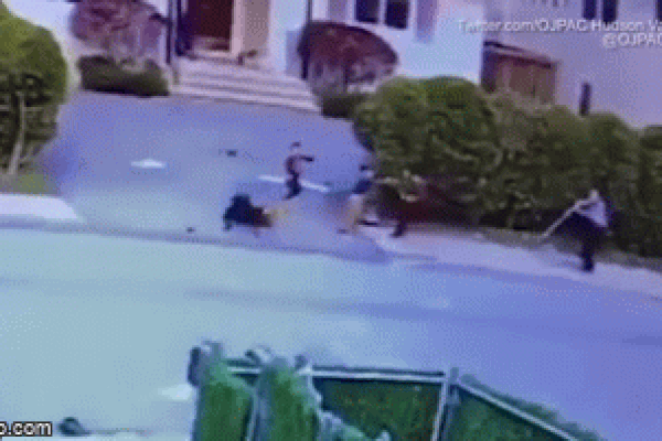 Kinh hãi: Bé trai bị Pitbull tấn công, kéo lê giữa đường