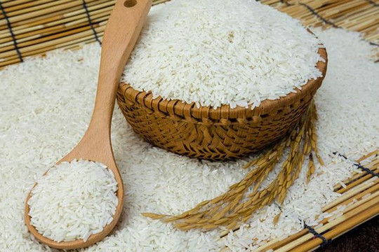 Tạo điều kiện thuận lợi cho doanh nghiệp tiếp cận nguồn vốn thu mua thóc, gạo