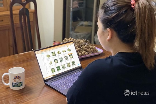 Bà Rịa-Vũng Tàu ra cẩm nang hướng dẫn người dân mua, bán hàng online mùa dịch