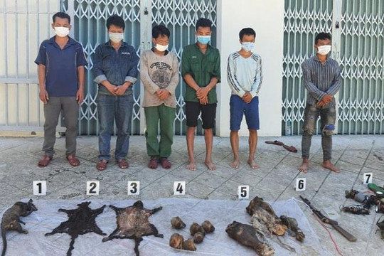 6 linh trưởng nghi là voọc chà vá chân nâu bị giết hại ở Vườn Quốc gia Bạch Mã
