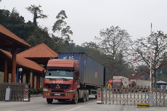 Trung Quốc ngưng nhập trái cây Việt trong khi đưa đều đặn 400 xe/ngày sang Việt Nam