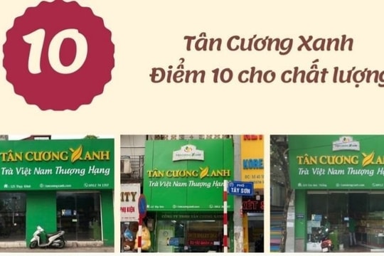 Chè Thái Nguyên Tân Cương Xanh - Thương hiệu chè Bắc lâu đời