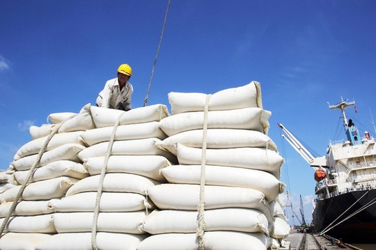 Nhân viên mắc Covid, một cảng dừng dịch vụ, xuất khẩu gạo ảnh hưởng