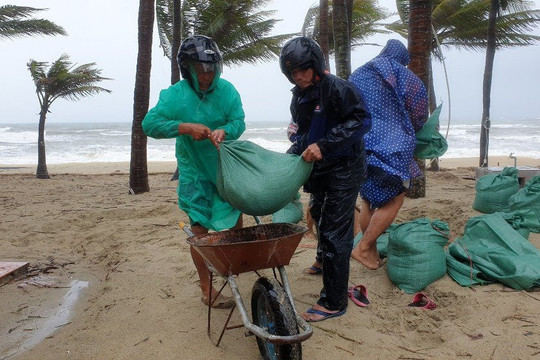 Quảng Nam: Người dân hối hả “gia cố” bờ biển Cửa Đại trước bão