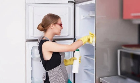 Nguy hại cho sức khỏe khi không lau dọn tủ lạnh thường xuyên