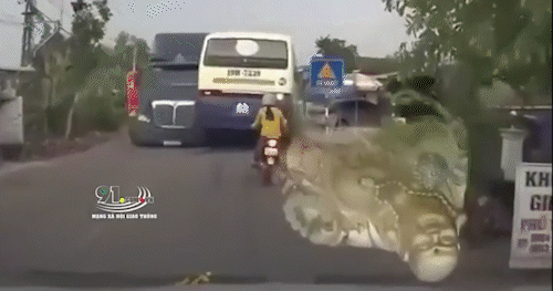 Clip:  kinh hoàng tai nạn giữa xe đầu kéo và xe khách… người phụ nữ đi sau thoát tử
