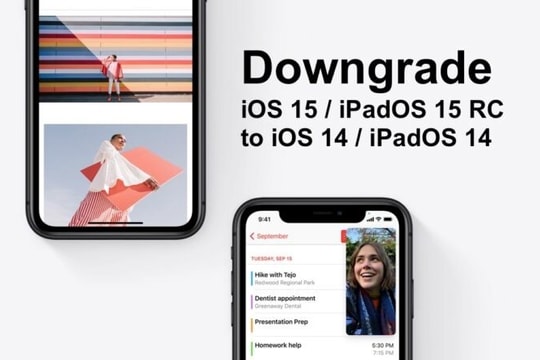 Cách quay về iOS 14, iPadOS 14 sau khi lỡ nâng cấp lên iOS 15, iPadOS 15 RC