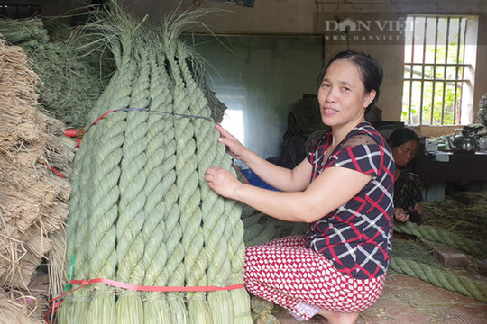 Độc lạ Việt Nam: Suốt 20 năm bện 'đuôi trâu' khổng lồ xuất đi Nhật
