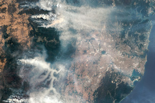 Cháy rừng ở Úc thải ra lượng carbon nhiều gấp 2,6 lần ước tính ban đầu
