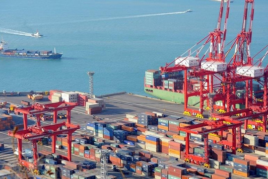 Thương mại Việt Nam – Hà Lan tăng tốc nhờ EVFTA