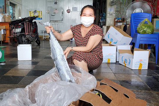 Hàng nghìn tấn tôm, cá ế đầy kho: Nghệ An tìm cách gỡ khó cho dân