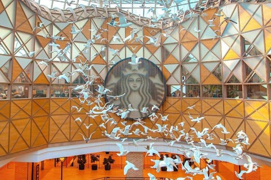 6 cửa hàng cà phê Starbucks đẹp nhất châu Á