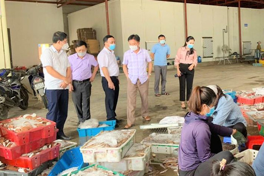 10.000 tấn hải sản ế ẩm, Nghệ An kêu gọi 'giải cứu'