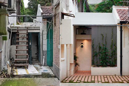 Kiến trúc sư biến trạm giao hàng bỏ hoang thành nhà có 3 phòng ngủ tuyệt đẹp