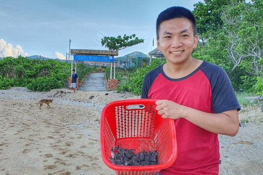Hành trình 10 ngày "đỡ đẻ" cho rùa ở Côn Đảo