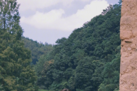 Phim trường 'Khu rừng nhỏ của hai người': Ngu Thư Hân bị chê ăn mặc như 'bà thím'