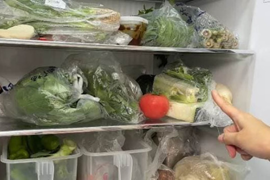Trước khi mua rau củ về cho vào tủ lạnh, bạn nhớ vứt túi ni lông đi nhé! Đây là lý do vì sao?