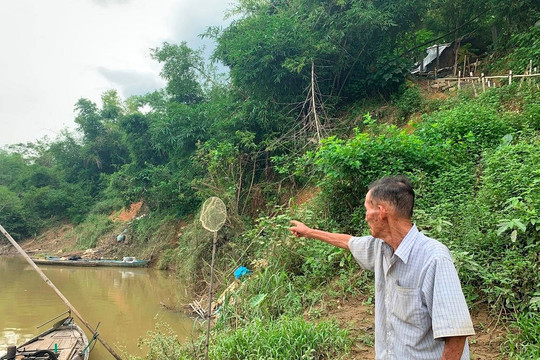 Quảng Nam: Sông Thu Bồn “ăn đất”, sạt lở sát vách nhà dân