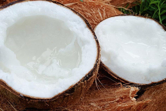 Loại dừa không có nước, mềm dẻo thơm như kem, giá đến 400 ngàn/trái ở Trà Vinh