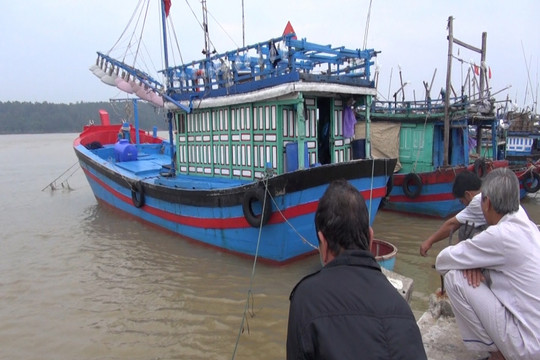 Phát hiện thi thể 1 ngư dân mất tích trên vùng biển Lý Sơn
