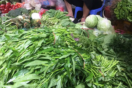 Trời mưa giá rau ở Hà Nội 'tăng phi mã', rau muống 24 nghìn/mớ