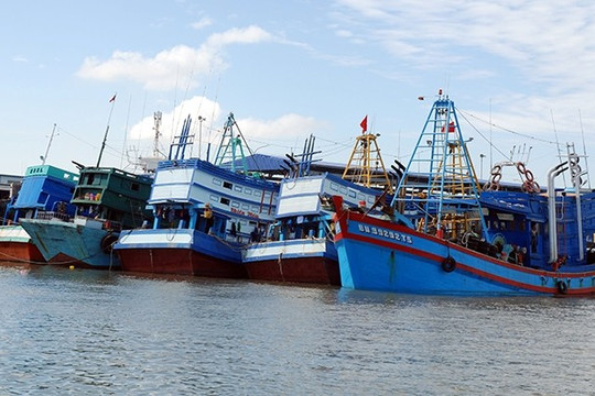 Bà Rịa – Vũng Tàu: Các cảng cá siết chặt quản lý tàu thuyền ngoại tỉnh