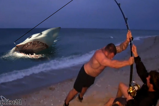 2 người đàn ông và cuộc chiến 'căng như dây đàn' với cá mập gần 500kg: Kết quả ra sao?