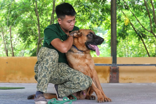 Học phí tiền triệu, dịch vụ huấn luyện chó nghiệp vụ đắt khách ở Hà Nội