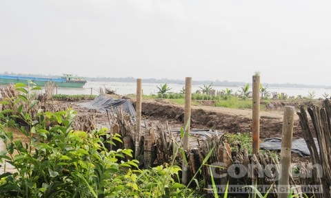 Dự án “lấn” sông Cổ Chiên: Vì sao chưa xử lý vi phạm chủ đầu tư?