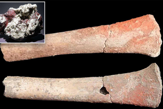 Bí ẩn về những cái chết cách đây 5.000 năm liên quan đến nhiễm độc thủy ngân