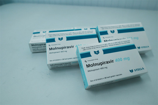 TP.HCM khẩn cấp xin 100.000 liều Molnupiravir