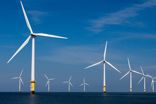 Bamboo Capital muốn hút nửa nghìn tỉ đồng cho bộ đôi dự án điện gió