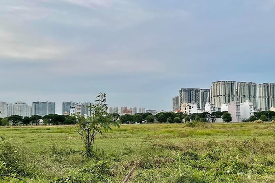 TP.HCM: Đảm bảo hiệu quả phối hợp trong đấu giá quyền sử dụng đất
