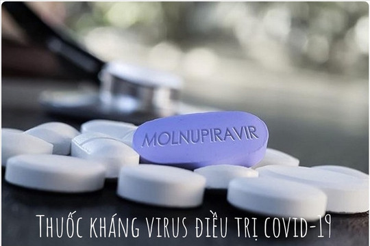 Dự kiến cấp 5 số đăng ký cho thuốc điều trị COVID-19 Molnupiravir nội