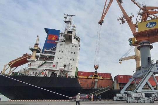 Thiết lập tuyến vận tải biển kết nối trực tiếp Việt Nam - Malaysia - Ấn Độ