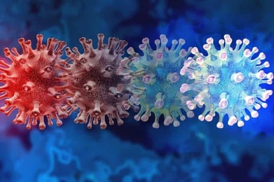 Vaccine kém hiệu quả trước biến thể mới B.1.1.529 với số lượng đột biến cao