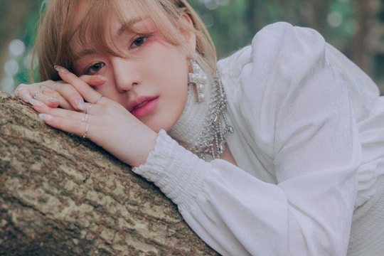 6 ngôi sao mà các staff chọn là sở hữu visual đẹp trong giới K-pop