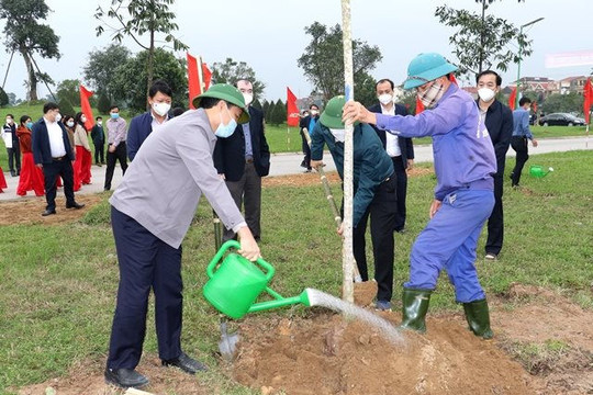 Thành phố Hà Tĩnh hướng mục tiêu trồng 100.000 cây xanh vì môi trường đô thị