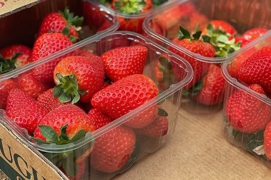 5 loại quả mọng tốt cho sức khỏe tim mạch