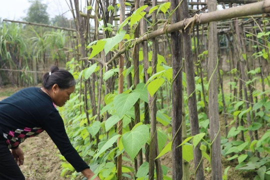 Hà Tĩnh: Giải pháp nhằm “khống chế” nguy cơ ô nhiễm sản xuất nông nghiệp