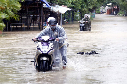 Phú Yên: Mưa lớn gây ngập lụt trên diện rộng