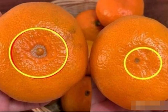 Ra chợ mua trái cây đừng chỉ chọn cam màu vàng, nhìn 6 điểm này sẽ chọn được quả ngon ngọt nhất