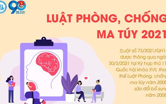 Quy định chi tiết và hướng dẫn thi hành một số điều của Luật Phòng, chống ma túy