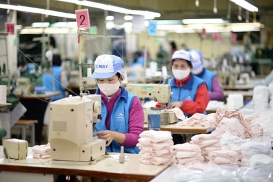 Doanh nghiệp có bắt buộc phải trả lương tháng 13?