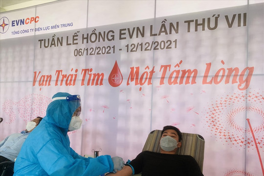 Tuần lễ hồng EVN lần thứ VII tại Đà Nẵng: Có 374 đơn vị máu được hiến