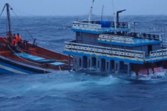 Cứu nạn 15 ngư dân trên tàu cá chết máy ở Hoàng Sa