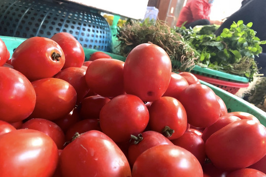 Hà Nội: Cà chua tăng giá, đắt ngang thịt lợn